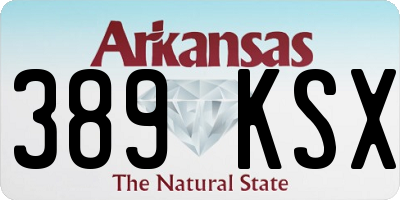 AR license plate 389KSX