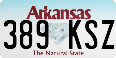 AR license plate 389KSZ