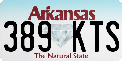 AR license plate 389KTS