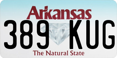 AR license plate 389KUG