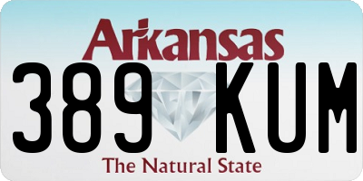 AR license plate 389KUM