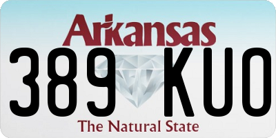 AR license plate 389KUO