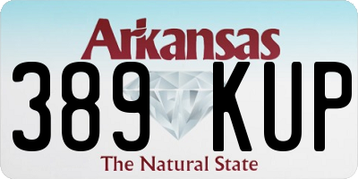 AR license plate 389KUP