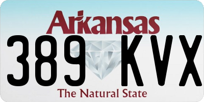 AR license plate 389KVX