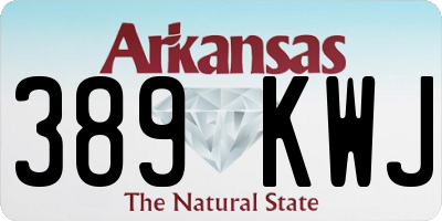 AR license plate 389KWJ