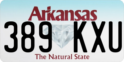 AR license plate 389KXU