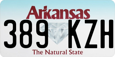 AR license plate 389KZH