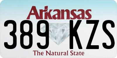 AR license plate 389KZS