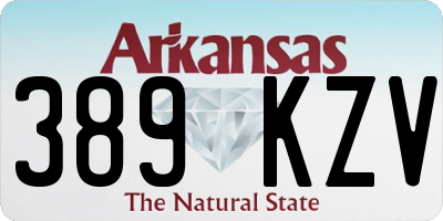 AR license plate 389KZV