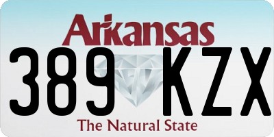 AR license plate 389KZX