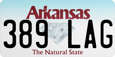 AR license plate 389LAG