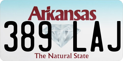 AR license plate 389LAJ