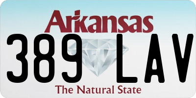 AR license plate 389LAV