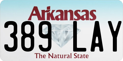 AR license plate 389LAY