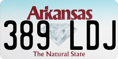 AR license plate 389LDJ