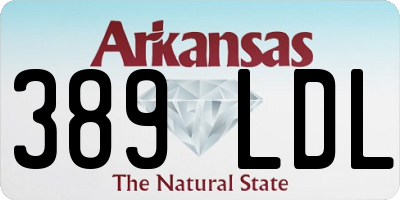 AR license plate 389LDL