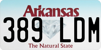 AR license plate 389LDM