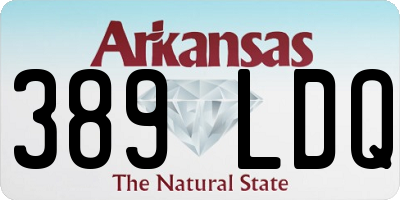AR license plate 389LDQ