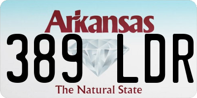 AR license plate 389LDR