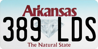 AR license plate 389LDS