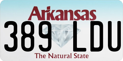 AR license plate 389LDU