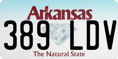 AR license plate 389LDV