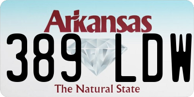 AR license plate 389LDW