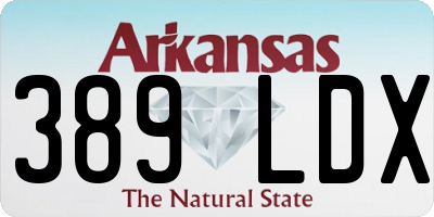 AR license plate 389LDX