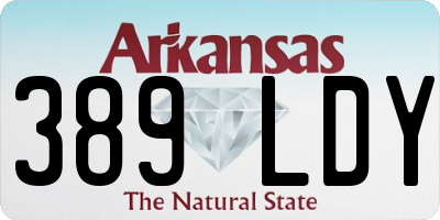AR license plate 389LDY