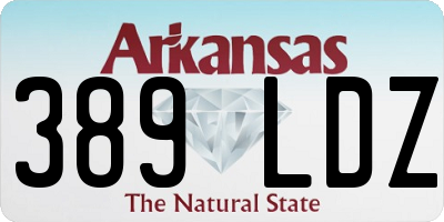 AR license plate 389LDZ