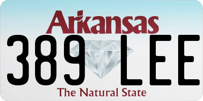 AR license plate 389LEE