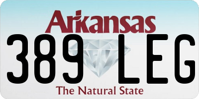 AR license plate 389LEG