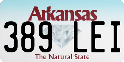 AR license plate 389LEI