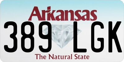 AR license plate 389LGK