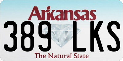 AR license plate 389LKS