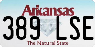 AR license plate 389LSE