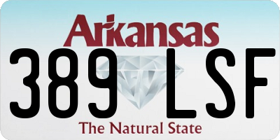 AR license plate 389LSF