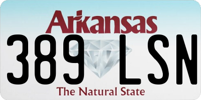 AR license plate 389LSN