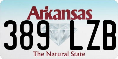 AR license plate 389LZB