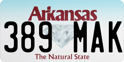 AR license plate 389MAK