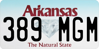 AR license plate 389MGM