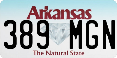 AR license plate 389MGN
