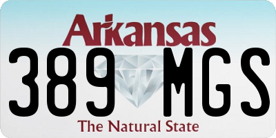 AR license plate 389MGS