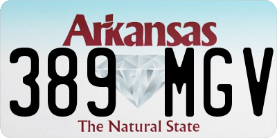AR license plate 389MGV