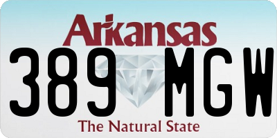 AR license plate 389MGW