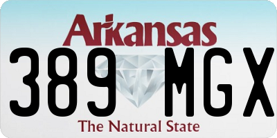AR license plate 389MGX