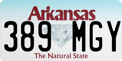 AR license plate 389MGY