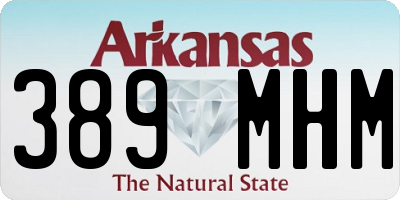AR license plate 389MHM