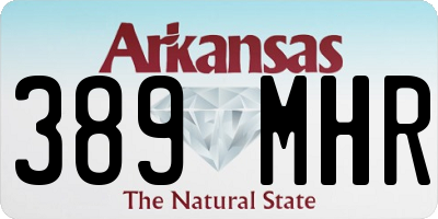 AR license plate 389MHR