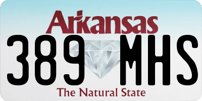 AR license plate 389MHS